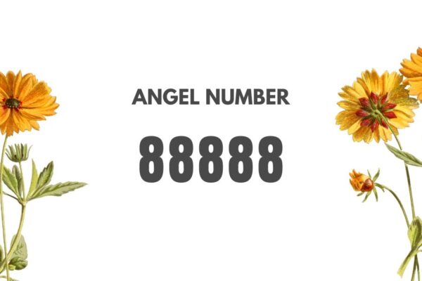 Meaning of Angel Number 88888 Explained by Joanne – Sacred Scribes